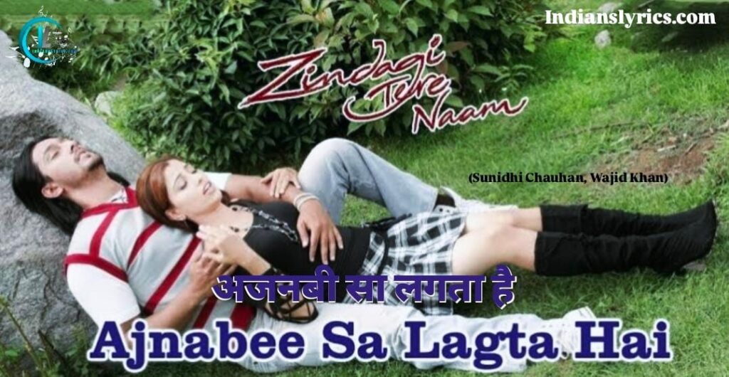 अजनबी सा लगता है